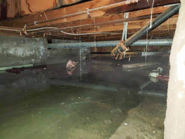 Best Flood restoration services  in Cedar Park, TX