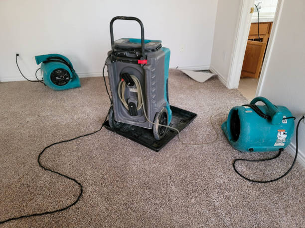 Best Flood damage cleanup  in Cedar Park, TX