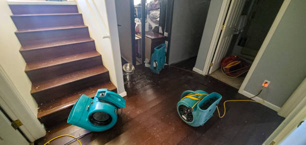 Best Flooded house restoration  in Cedar Park, TX