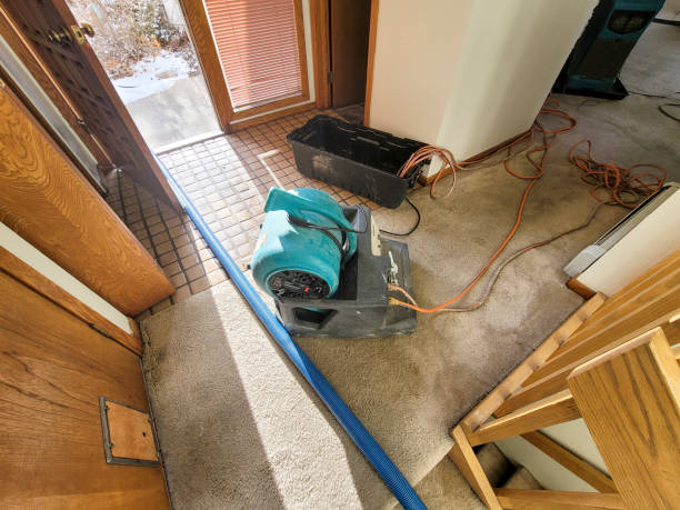Best Water damage restoration cost  in Cedar Park, TX