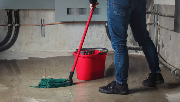 Best Professional water damage repair  in Cedar Park, TX