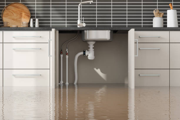 Best Mold removal after water damage  in Cedar Park, TX